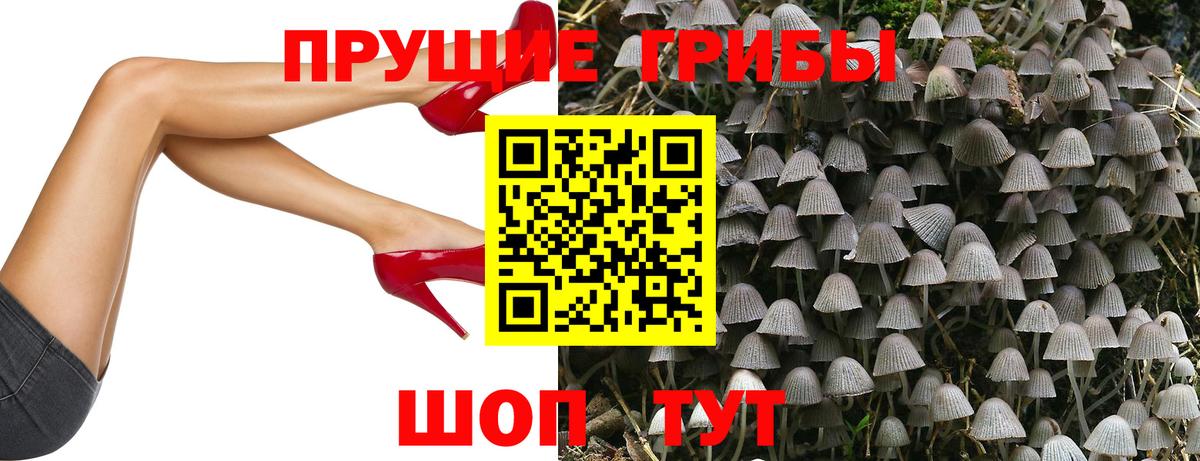 Кемерово  Галлюциногенные грибы прущие грибы  закладки  Вход с VPN 